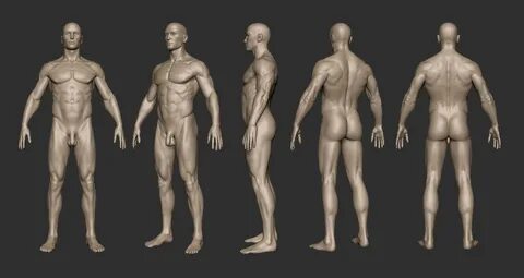 ...Character Modeling, Character Design References, 3d Character, Human Ref...
