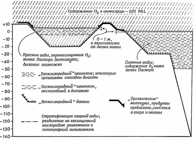 Распространение жизни в атмосфере ограничивает. Гиполимнион. Эпилимнион и гиполимнион. График содержания кислорода в атмосфере с годами. Содержание кислорода по высоте атмосферы.