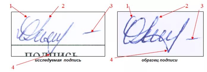 Образцы почерка для почерковедческой экспертизы. Криминалистика экспертиза  подписи. Судебно-почерковедческое исследование подписи. Судебная почерковедческая экспертиза образец.