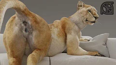 Lion vagina : Lioness vagina - Best adult videos and photos.
