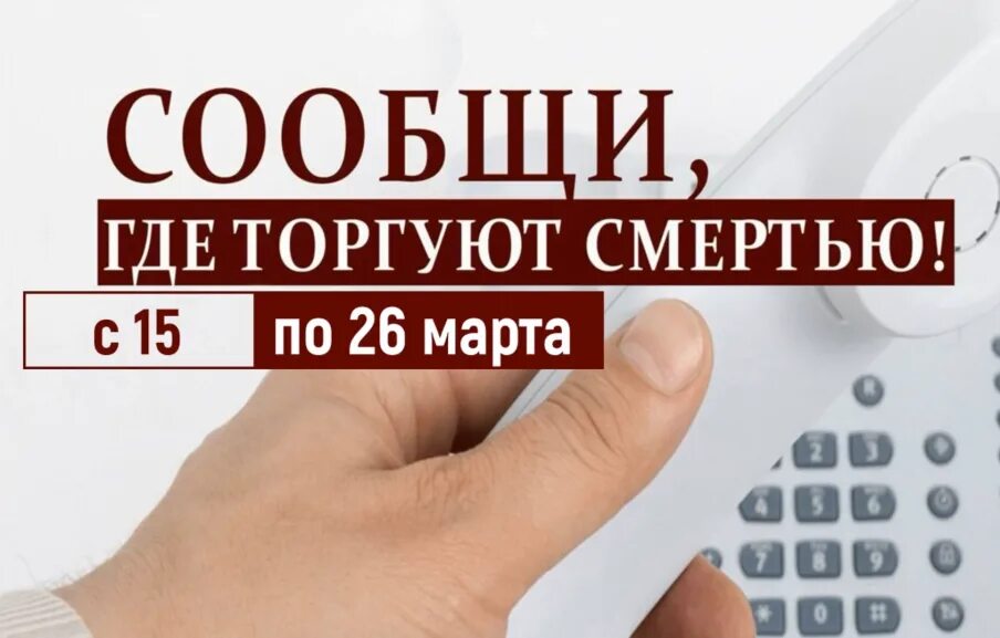 Всероссийская акция сообщи где торгуют смертью. Сообщи где торгуют смертью. Сообщи где торгуют смертью картинки. Где промышляли. Общероссийской акции «сообщи, где торгуют смертью».