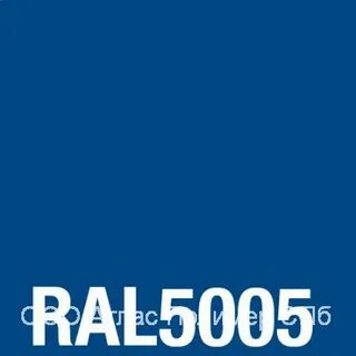 5005