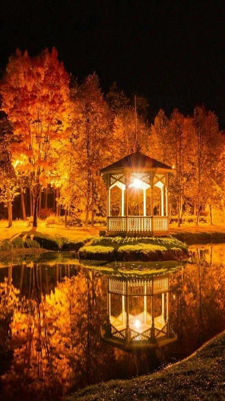 Осенний вечер. Осенняя беседка. Осенняя ночь. Беседка осень.