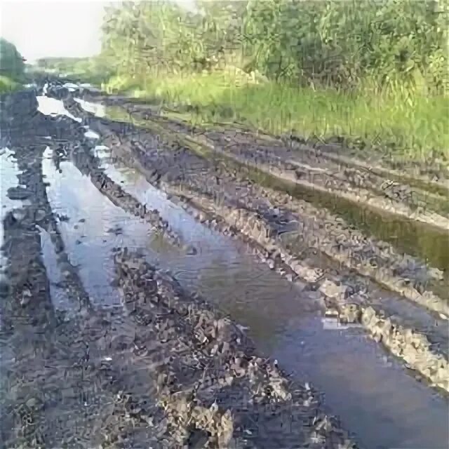 Ламаново Колосовский Омская область. Тевризский район Омская область. Дорога Тевриз Ермиловка. Село Чапаево Омская область Колосовский район.