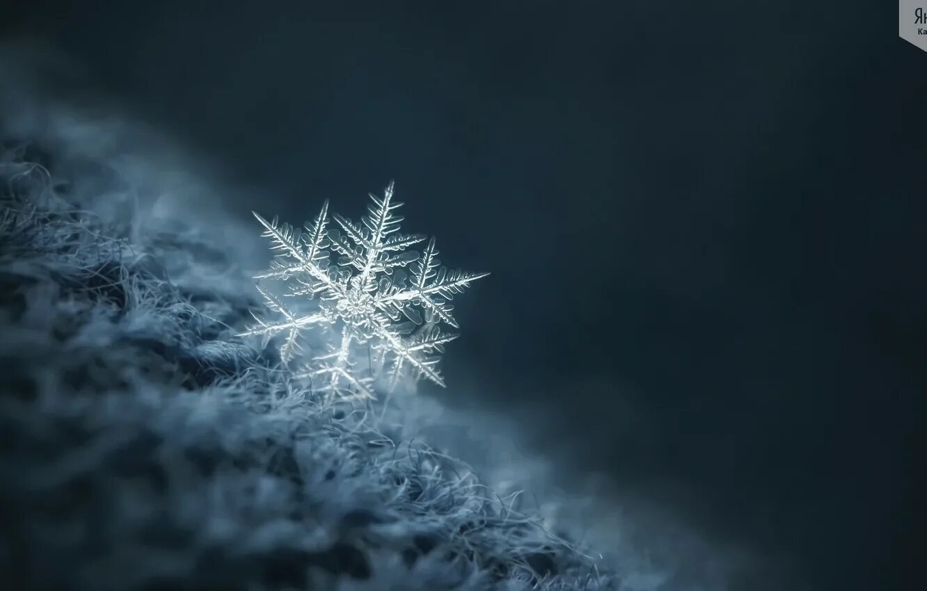 Тишина снежинка. Изморозь на окне. Раиса щербакова на тропинке. Снежинки в небе. Тишина снежинка.