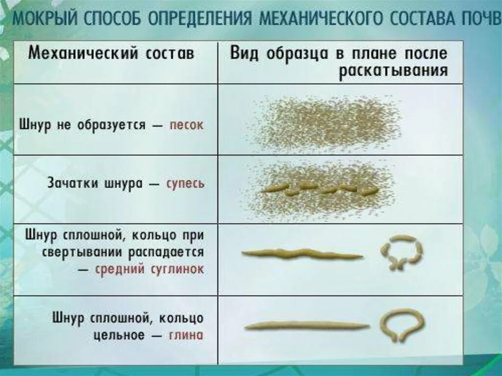 Как определить механический состав почвы. Механический состав почвы. Определение механического состава почвы. Метод определения механического состава почвы. Механический состав почвы 8