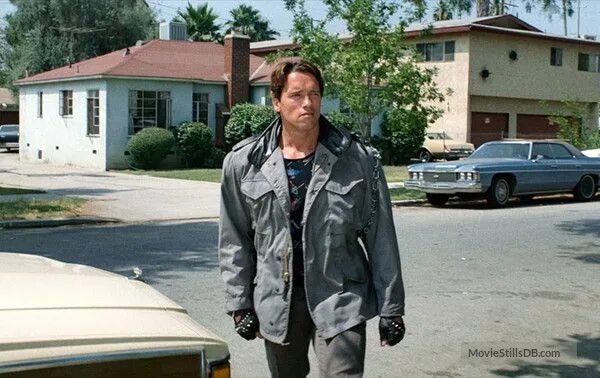 The Terminator / Arnold Schwarzenegger . Арнольд шварценеггер, Фильмы, Терминато