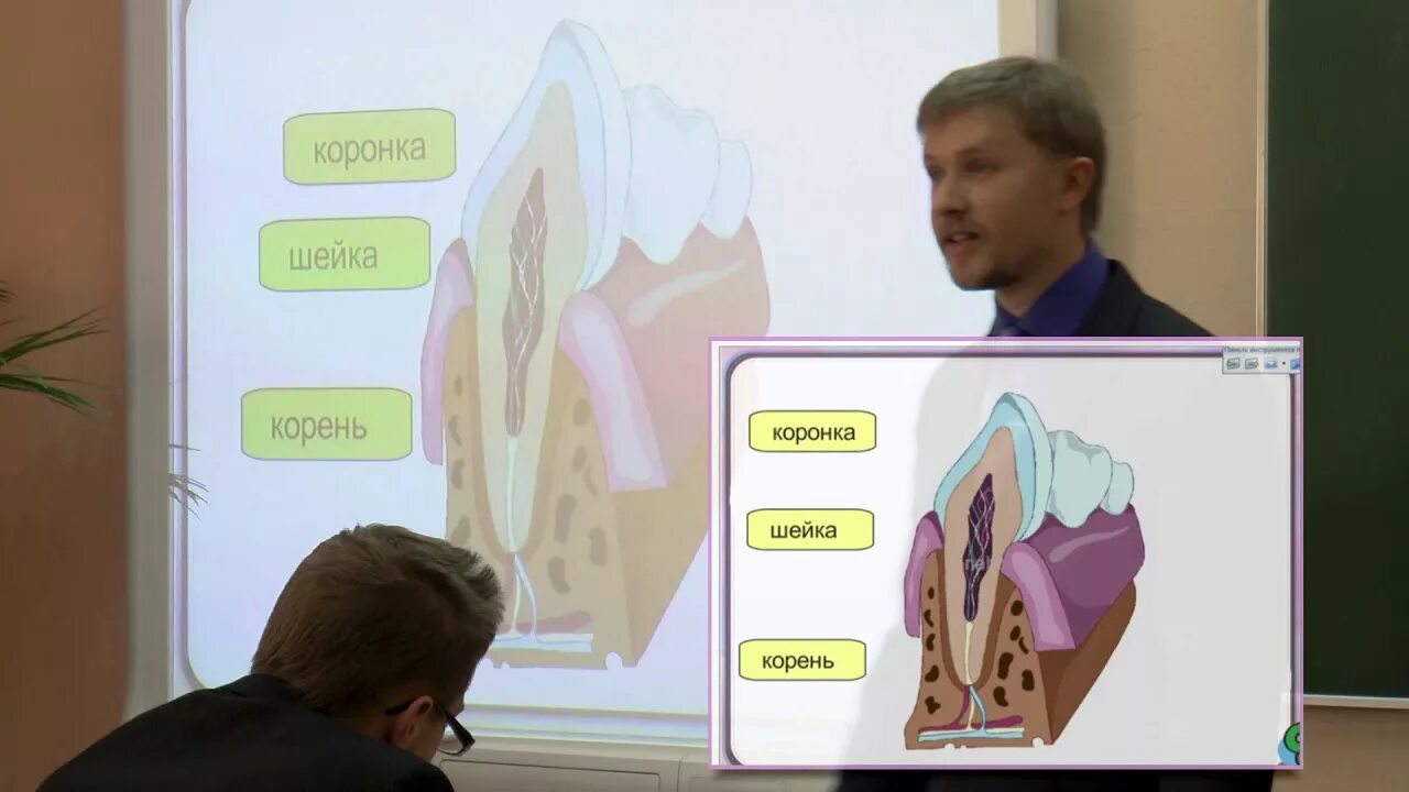 Биология. Уроки биологии 9 класс видео. Биология 9 класс учебник просвещение. Живые системы биология 9 класс. Биология.