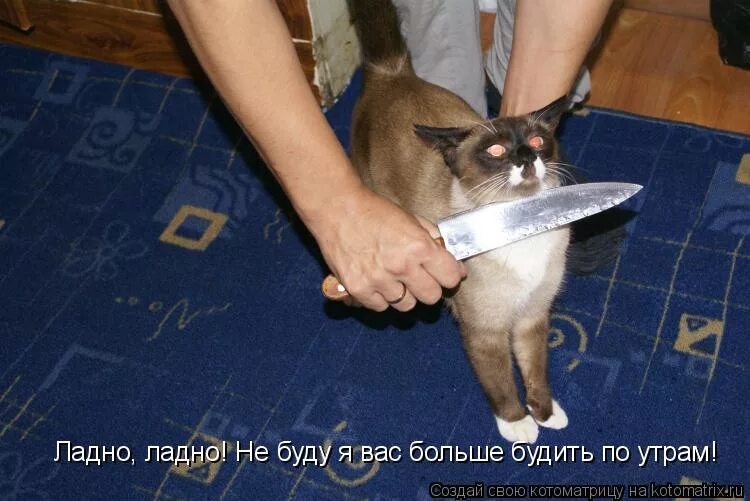 все будет хорошо тебя своим пырнут ножом