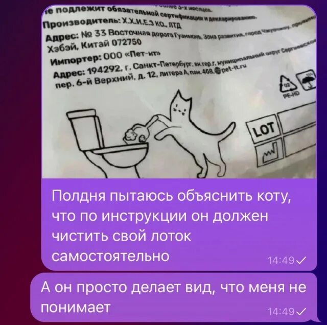 Кот задающий вопрос. Котики картинки. интересные факты в картинках. вопросы о котах. кот вопрос.