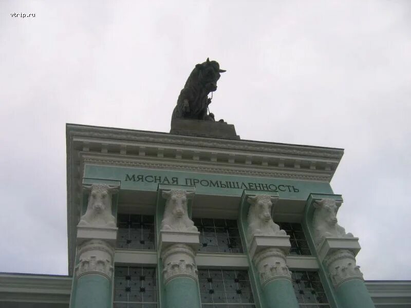 Павильон мясной вднх. Павильон 51 вднх. Павильон животноводство на вднх. Павильон мясной вднх. Павильон мясная промышленность вднх.
