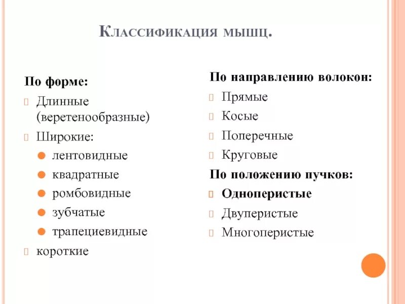 Положение пучков. Классификация мышц по направлению. Классификация мышц по положению Пучков. Классификация мышц по направлению волокон. Классификация мышц веретенообразная.