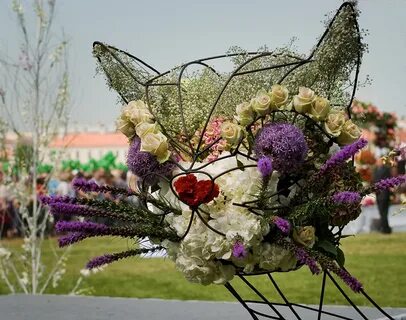 Цветы 2011