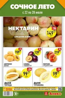 Листовки бийск