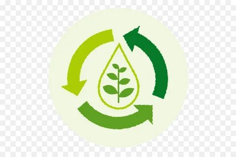 Environment and sustainable development