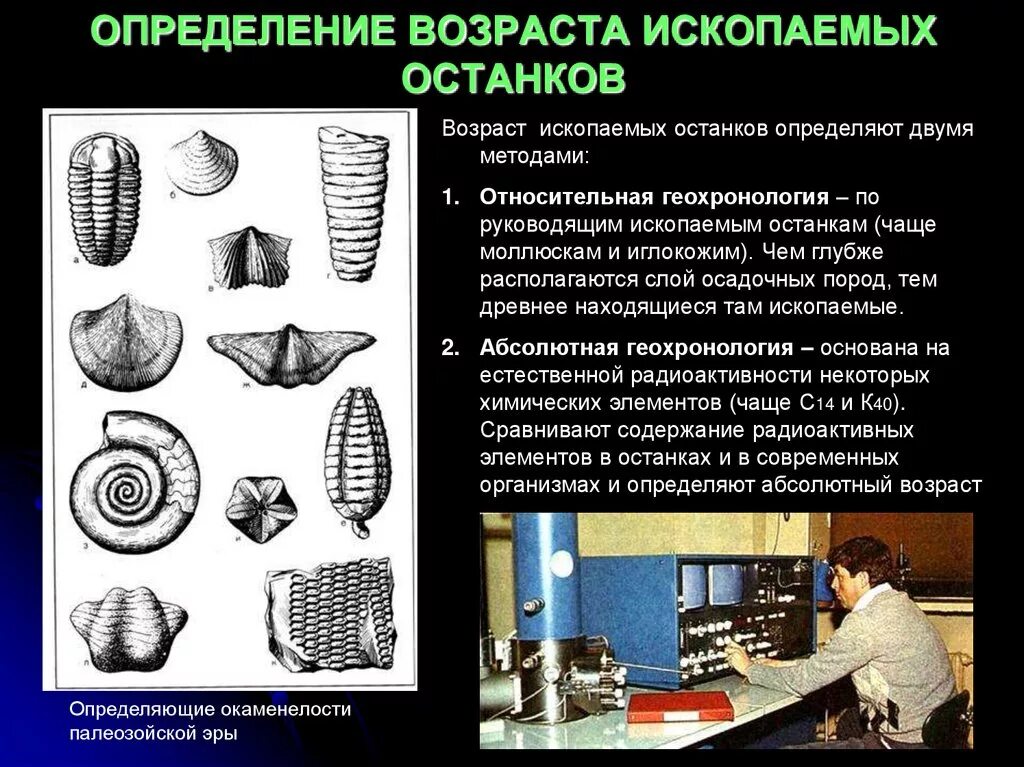 Методы определения возраста ископаемых. Возраст пород и окаменелостей. Как определить Возраст окаменелости. Определение возраста ископаемых. Исследование ископаемых остатков вымерших животных лабораторная работа