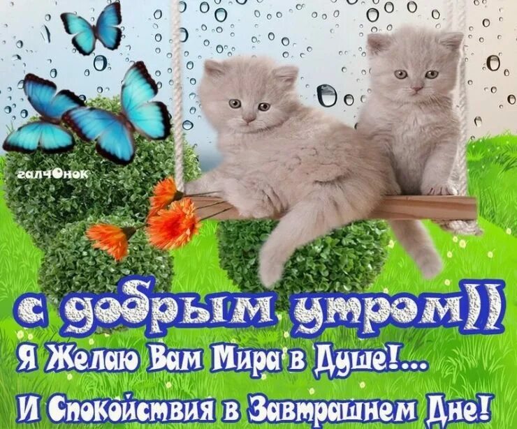 Картинки с кошками пожелания. Пожелание доброго утра с котятами. Открытки с добрым утром с котятами. Поздравления с добрым утром с кошками. Красивое пожелание с добрым утром с котятами.