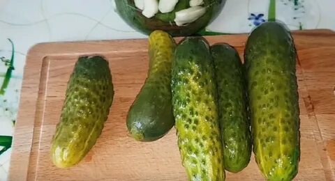 Огурцы засолка кипятком