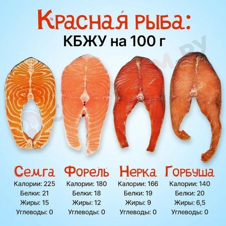 Сколько белка в семге