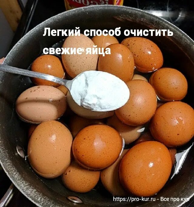 Яйцо добавляется. Свежее яйцо. сода с яйцами. для варки много яиц.