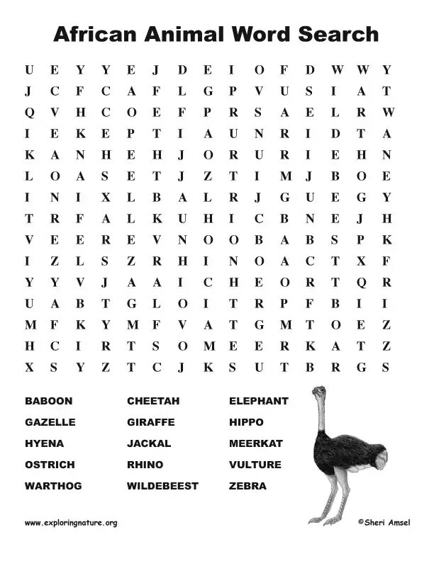 Animals wordsearch