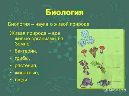 Биология пятый класс темы