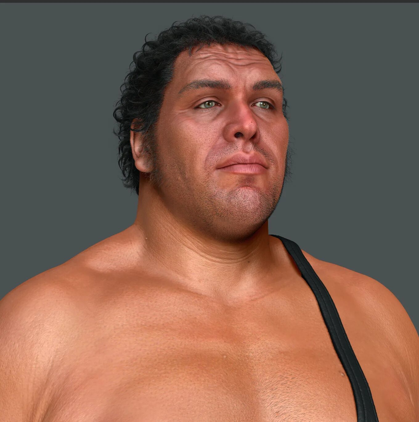 Рестлер Андре. Andre the giant. Робин Русимов. Андре русимов