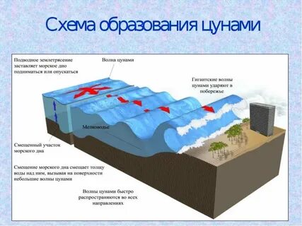 Фокус средоточие центр ф землетрясения