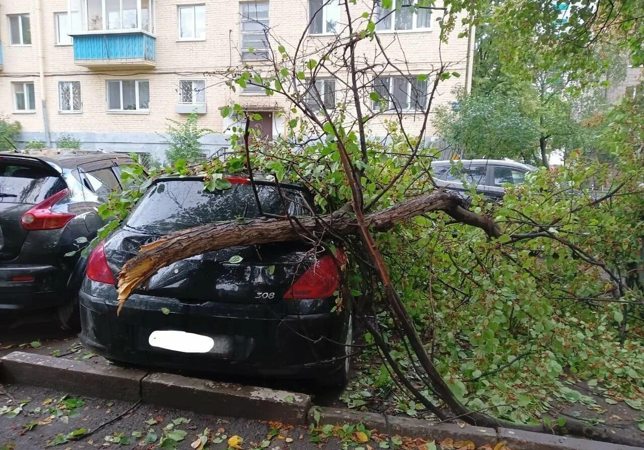 Беспилотник в уфе упал в черниковке. Дерево свалилось на авто. Дерево упало на автомобиль. Дерево повредил машину. Упало дерево и повредил машину.