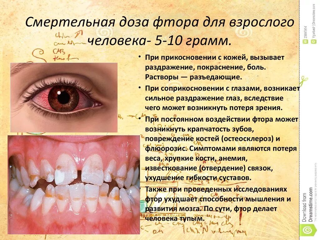 При недостатке фтора в организме развивается ответ. Избыток фтора в организме. Влияние фтора на организм человека. Влияние фторидов на организм человека. Влияние фтора на человеческий организм.