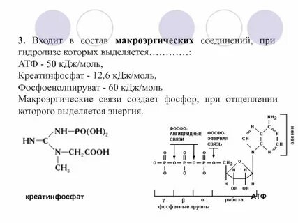 Примеры макроэргических связей