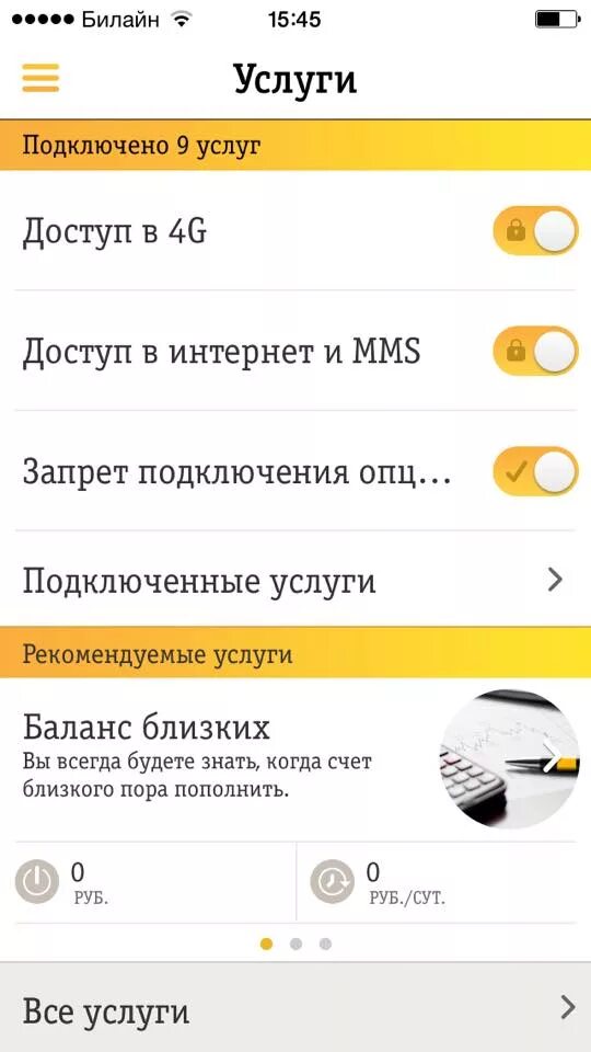 Есим билайн как подключить. Услуги Билайн. Подключенные услуги Билайн. Платные услуги Билайн. Проверить подключенные услуги Билайн.