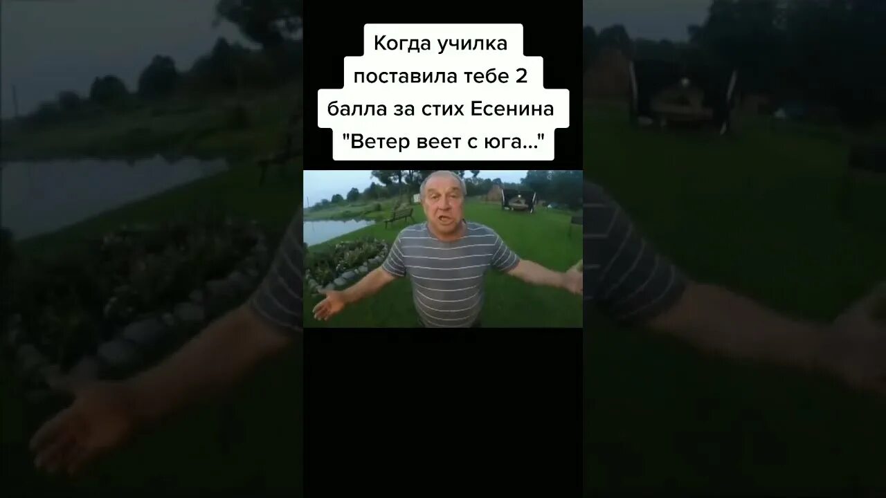 Есенин стихи ветер веет с юга оригинал. Есенин ветер веет. есенин стих ветер веет с юга.