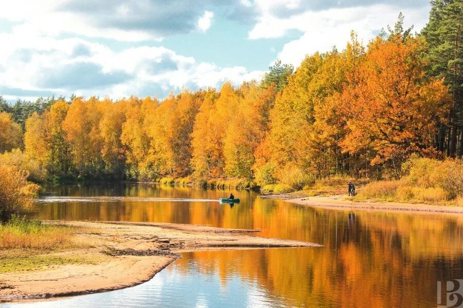 В мещерском крае нет особенных красот