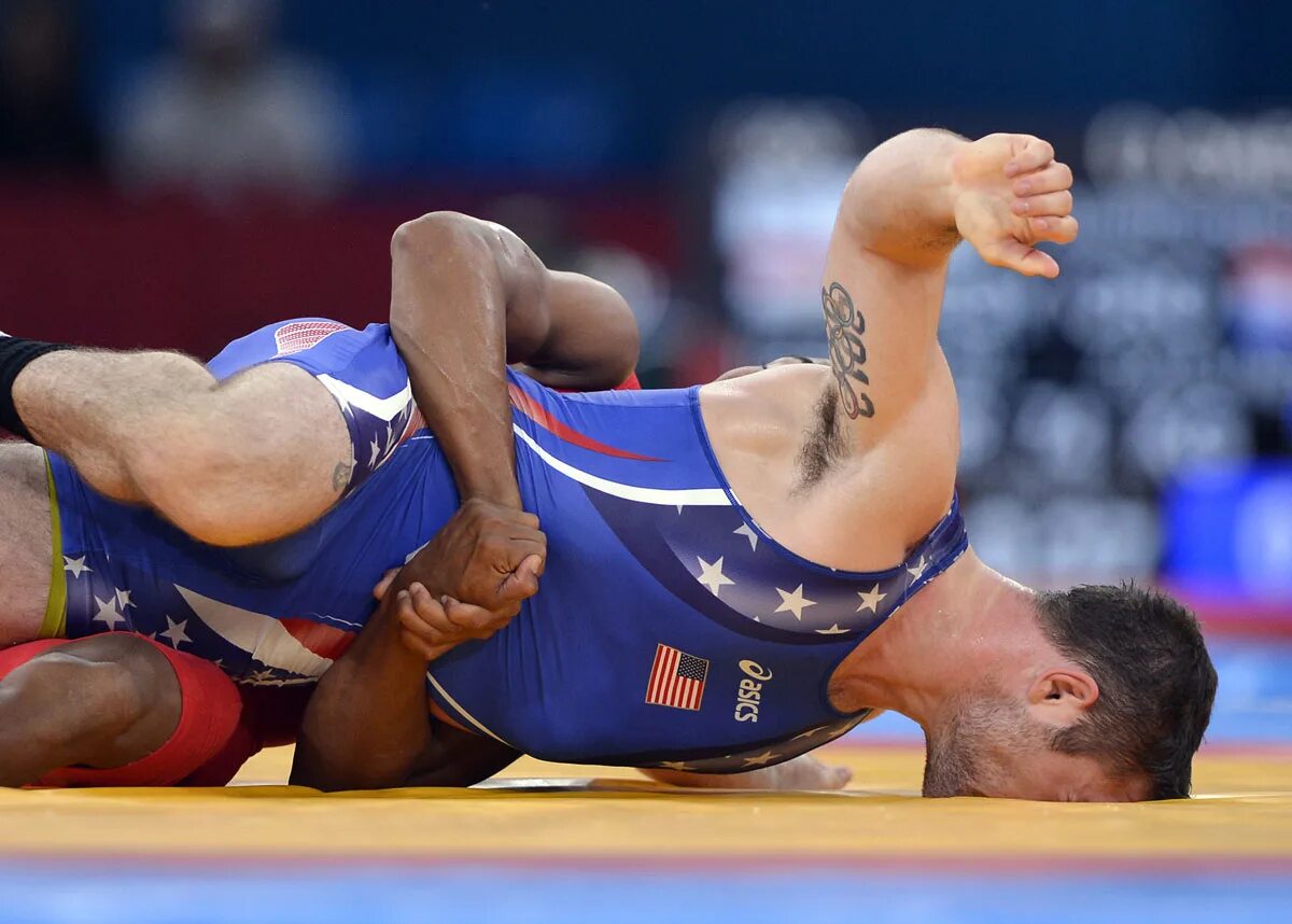 Face wrestling. Fightpulse zoe. Fightpulse vanessa. Fightpulse diana. Джуниор афолаби салокун.