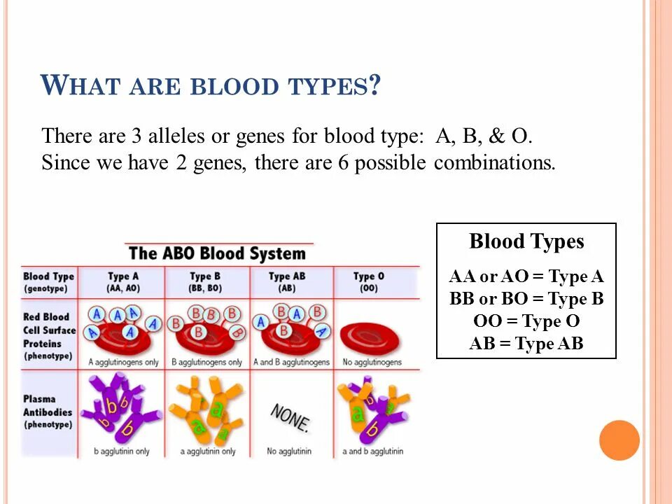 Как по английски кровь. What are the Blood Types?. Blood Types in Russian and English. Blood Types in English. Blood Type English.