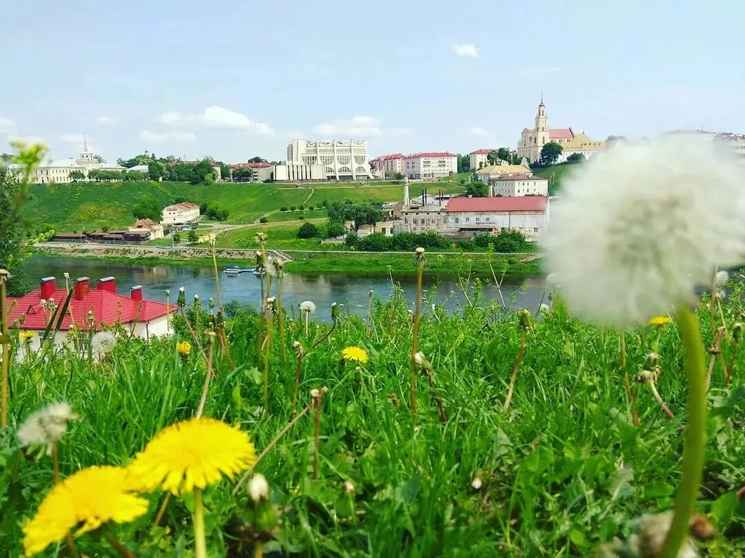 Погода рб. Лето в Беларуси. Беларусь летом. Беларусь летом город. Могилёв Весна.