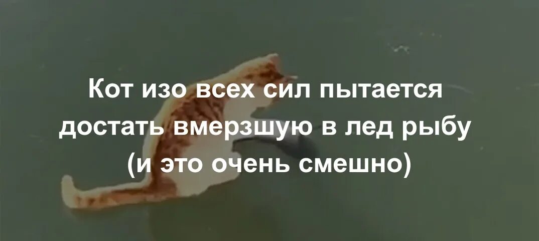 Женя изо всех сил нет фразеологизма. Держусь изо всех сил. Стараться изо всех сил. Держись изо всех сил. Изо всех сил радуюсь жизни.