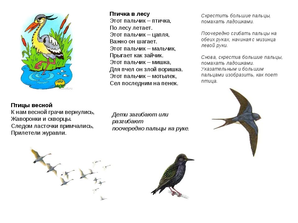 Стихи про птиц для детей. Стихи про перелетных птиц для детей. Стихи про птиц для малышей. Стихи о птенцах весной.