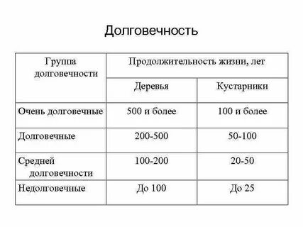Срок жизни отзывы