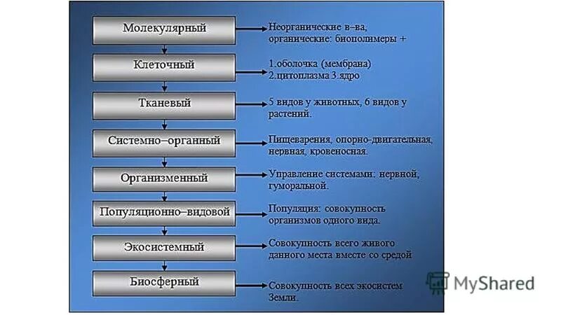 Последовательность уровня организации живого. Назовите уровни организации организма. Уровни организации живой материи анатомия. Уровни организации жизни человека. Уровни организации живой тканевый, органный.