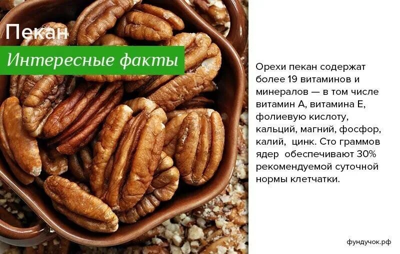 Пекан полезные свойства и противопоказания. Орехи заморские пекан. пекан орех полезные свойства. интересные факты об орехах. пекан чем полезен для организма.