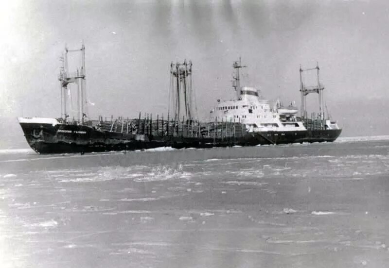 Теплоход Державино лесовоз. Северное Морское пароходство Архангельск. Лесовоз СИБИРЬЛЕС судно. Северное мор пароходство Архангельск.