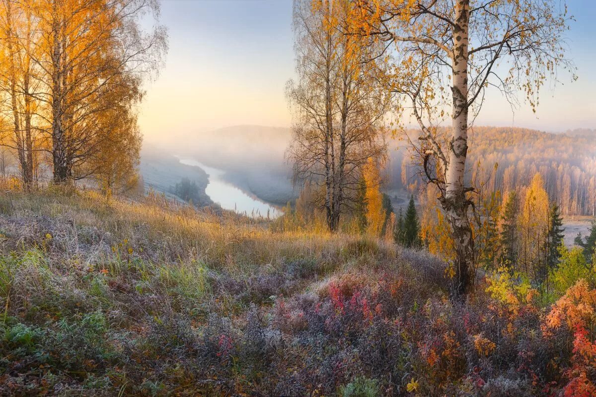 Может ли вас взволновать красота осеннего леса. Осенний пейзаж. Осенний лес.