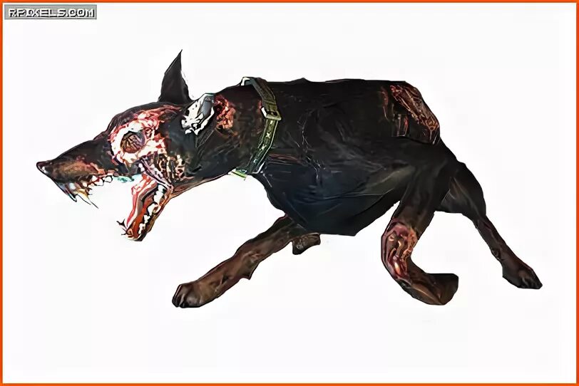 RESIDENT EVIL 5 - #3: A Volta do CACHORRO ASSASSINO - YouTube