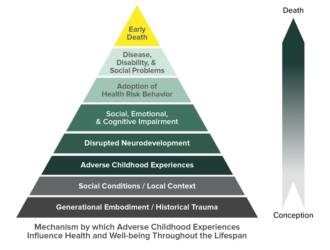 Adverse life experiences. Adverse life experiences. Adverse childhood experiences study. Traumatic childhood. The impact of adverse conditions stress and bad habits on a healthy.