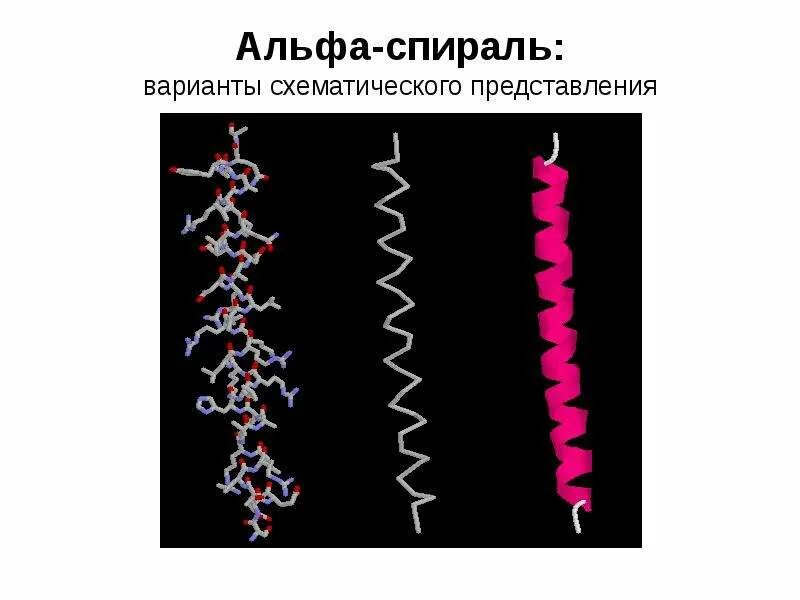 Вторичная структура белков альфа и бета структуры. Вторичная структура альфа спираль. Молекула жидкого кристалла спиральное строение. Альфа спираль днк. Альфа спираль днк.