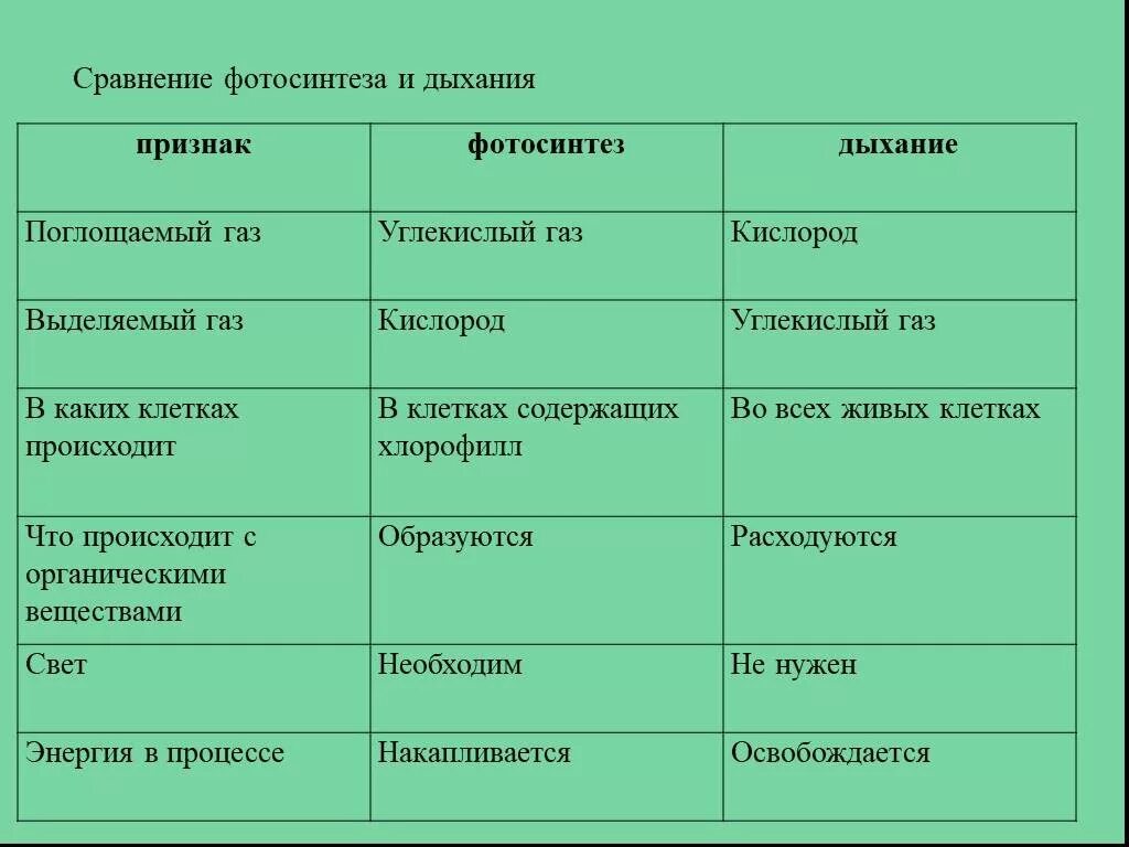 Заполни таблицу дыхание растений. Сравнительная характеристика фотосинтеза и дыхания. Сравнение дыхания и фотосинтеза таблица таблица 6. Таблица "сравнение дыхания и фотосинтеза" 8 класс. Таблица по биологии фотосинтез и дыхание.