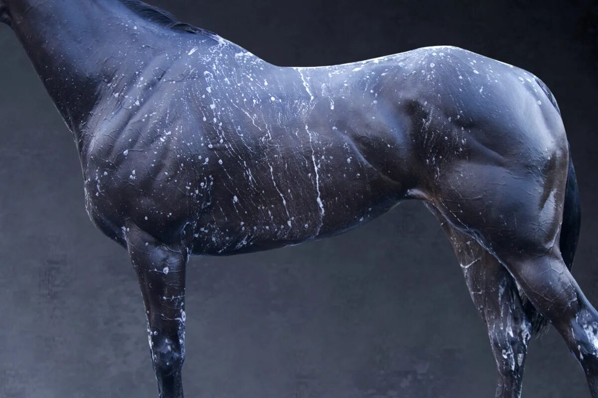 мытье волос. фотосессия с мокрыми волосами. мягкий и мокрый. мокрый рисунок для детей. волосы в душе.