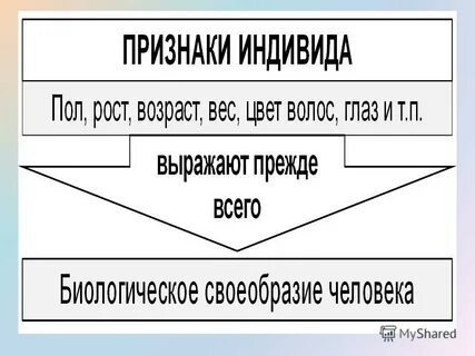 Индивид ростов